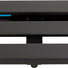 Ultimate Support UPD-209-B 2